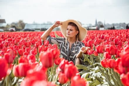 arielle-photographer-amsterdam-tulips-fields-keukenhof