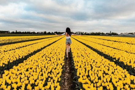 arielle-photographer-amsterdam-tulips-fields-keukenhof-amsterdam