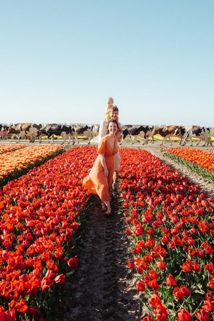 arielle-photographer-amsterdam-tulips-fields-keukenhof-amsterdam
