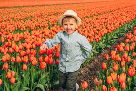 arielle photographer amsterdam tulips fields keukenhof amsterdam21 29 scaled