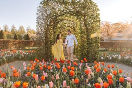 arielle frioza proposal photographer 2022 37