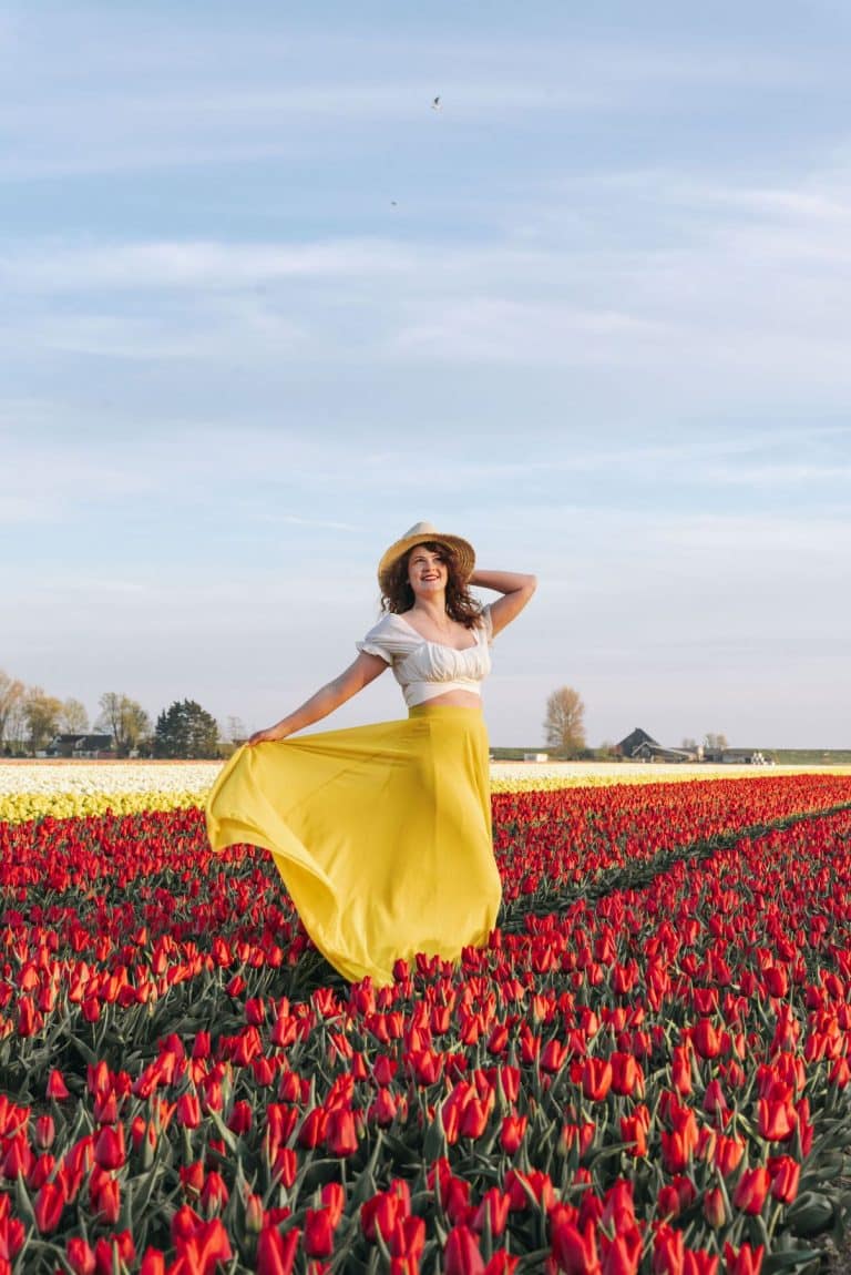 arielle frioza tulip field photographer 202216