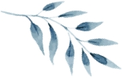 dlf.pt watercolor leaf png 2270838