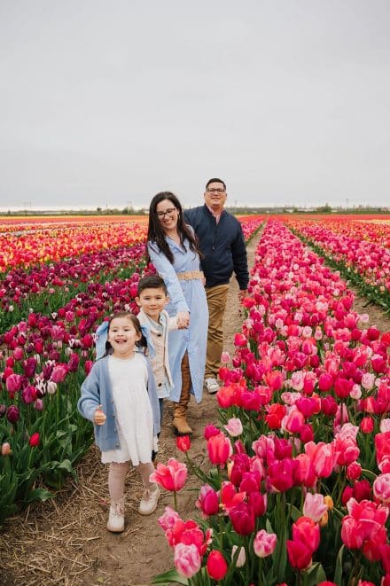 arielle frioza photographer tulip fields gardens 2024 2