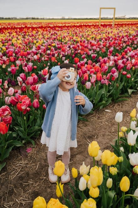 arielle frioza photographer tulip fields gardens 2024 6