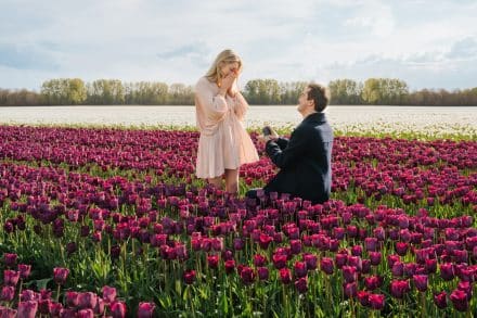 arielle frioza photographer tulip fields proposal engagement 2024 5