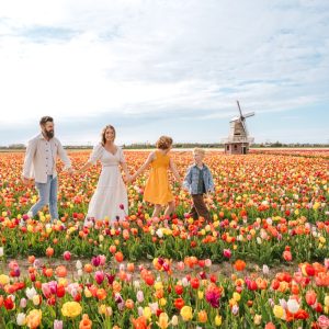 Tulip Gardens Photoshoot