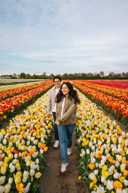 arielle frioza photographer amsterdam tulips proposal engagement 2025 19