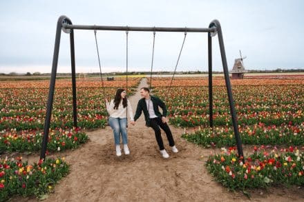 arielle frioza photographer amsterdam tulips proposal engagement 2025 50
