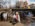 Amsterdam Solo Photographer