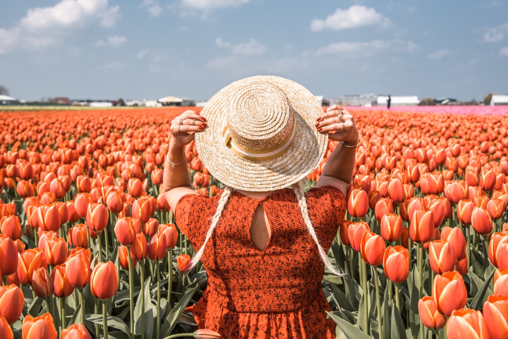 Amsterdam Tulip Fields Photoshoot Arielle Frioza Photography