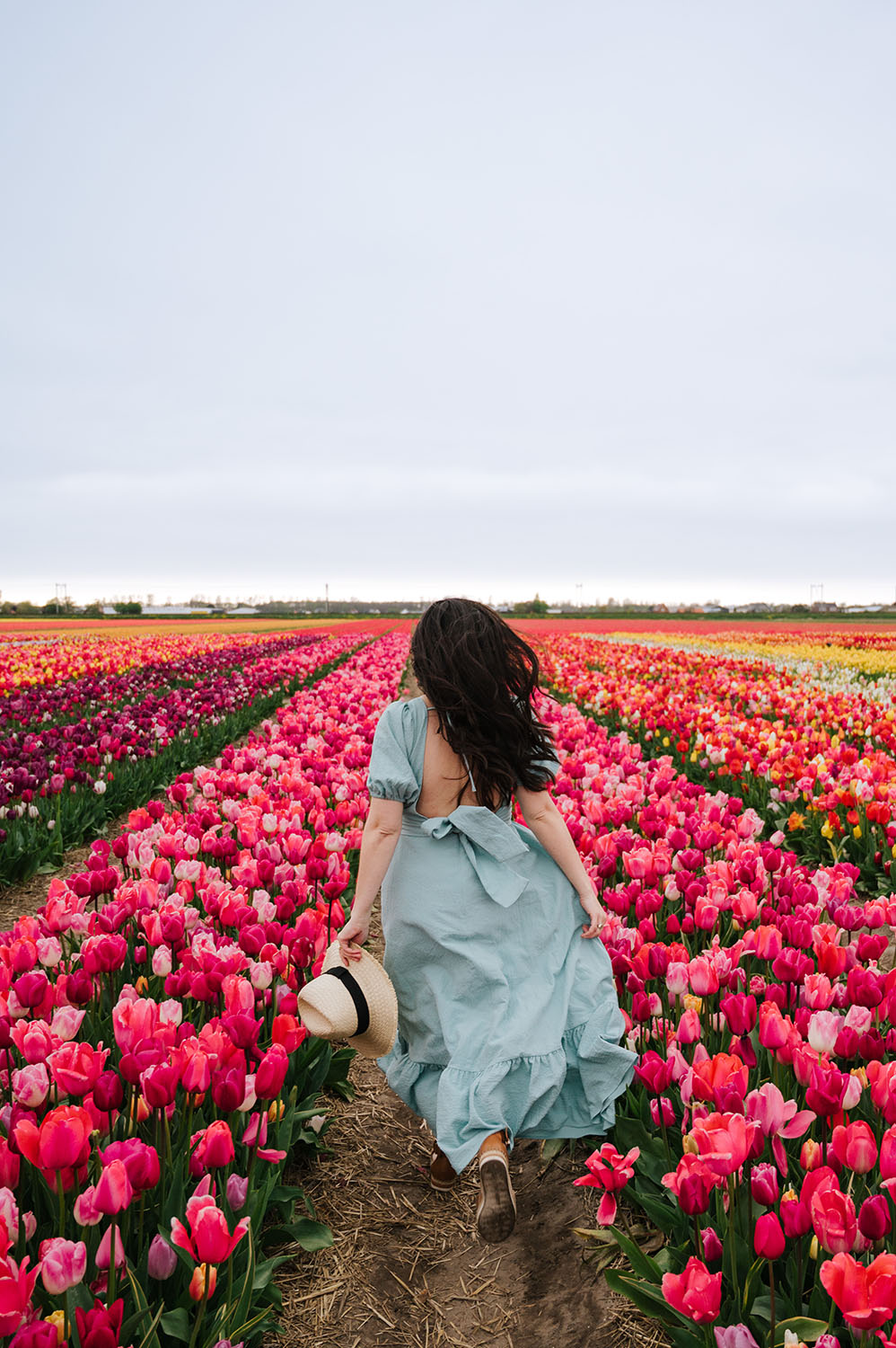 dress for tulip festival Tulip Festival Twirl Dress For Girls & Toddlers main image 1
